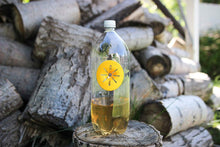 Load image into Gallery viewer, Wasp Traps - Multi-Pack