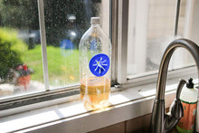 Load image into Gallery viewer, Fly Traps - Multi-Pack