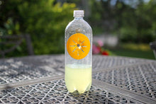 Load image into Gallery viewer, Wasp Traps - Multi-Pack