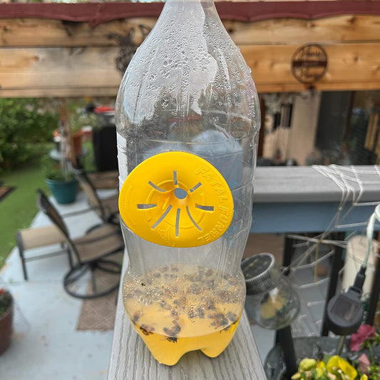Best Homemade Wasp Trap Bait: What Actually Works (And What Doesn’t)