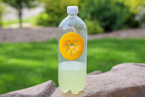 Wasp Traps - Wholesale