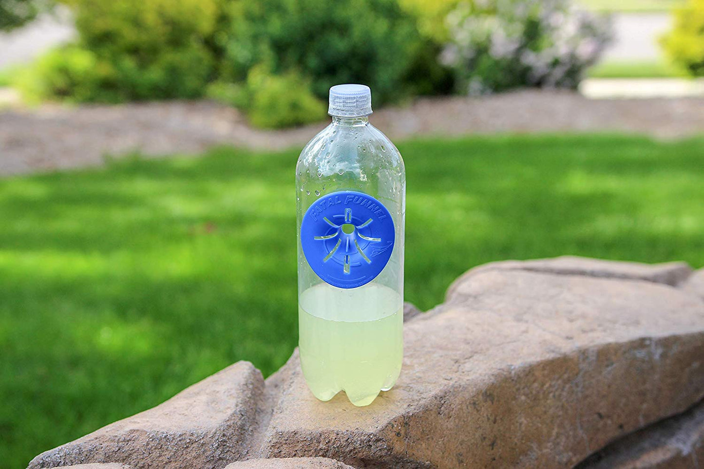 Fly Traps - Wholesale