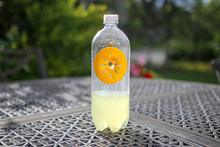 Fly and Wasp - Combo - Wholesale