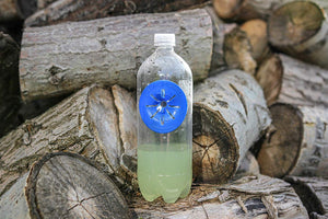 Fly Traps - Wholesale